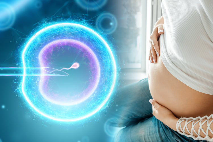 男性不妊の原因は精子の運動率にある？悩むあなたにおすすめの改善方法やサプリを紹介
